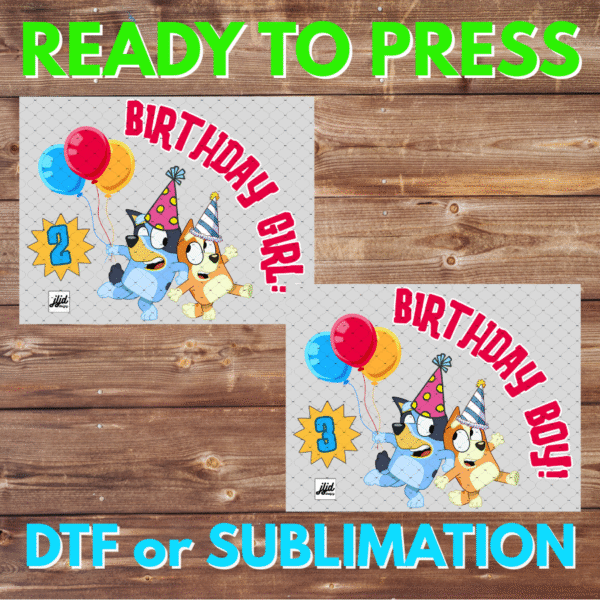 Birthday Boy or Girl | Bluey | custom | personalize | DTF | Sublimation